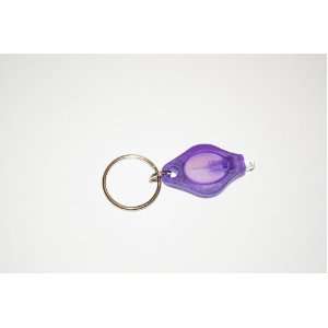   : Mini LED Photon Keychain Micro Light, Purple Beam: Home Improvement