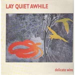  DELICATE WIRE LP (VINYL) UK SOUTHERN 1993 LAY QUIET 