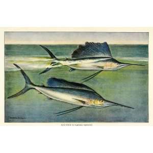  1922 Print Hashime Murayama Artwork Sailfish Anglers Deep 
