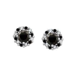   White Gold 1/2 ct. Black and White Diamond Earrings Katarina Jewelry