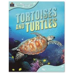  Teacher created resources Animal Lives TCR9837: Toys 