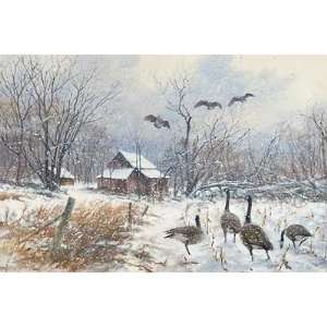  James Killen   Winter Refuge   Canada Geese