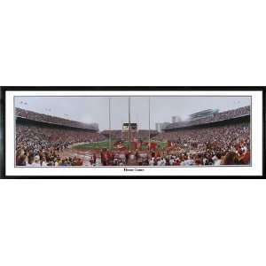   Home Game   Day game   Horseshoe (1994) Panoramic Photo Toys & Games