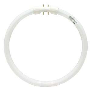 Philips 166017   TL5C 22W830 (FC9T5/830) Circular T5 Fluorescent Tube 