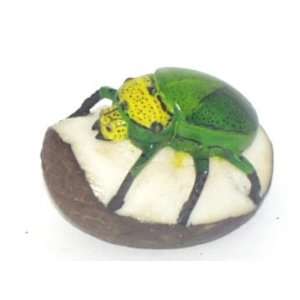  Green and Yellow Beetle ~ Tagua Carving