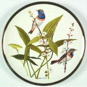  Songbirds of the World Plate Collection   The Bluethroat 