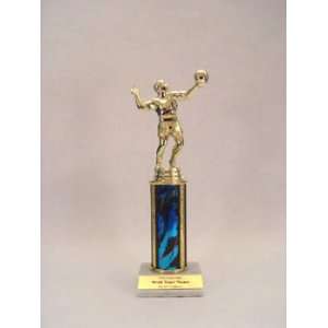  12 Inch Quick Ship Single Column Trophy Male Volleyball 