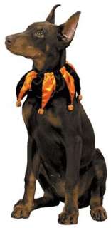 DOG JESTER HALLOWEEN Collar Costume w/Bells NWT Choice  