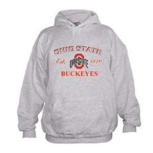 Ohio State Buckeyes Ash Alliance Embroidered Hoody Sweatshirt:  