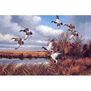  David Maass   Greenhead Country Artists Proof