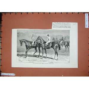   1884 Derby Horse Racing Sport Harvester St Gatien Race