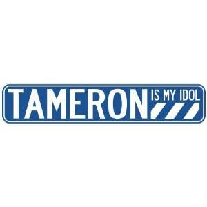   TAMERON IS MY IDOL STREET SIGN