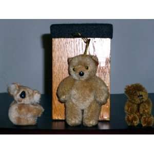 Set of 3 Teddy Bear Tree Ornaments: Everything Else