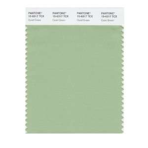  PANTONE SMART 15 6317X Color Swatch Card, Quiet Green 