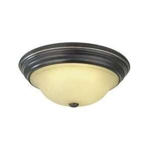  Dolan Designs Sylvan Park 16 1/2 Inch Flushmount Ceiling 