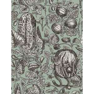  Cowcumber CS by Cole & Son Wallpaper