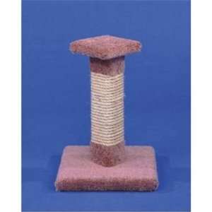   Cactus Scratch Surface Post with Sisal and Top, 18 Inch