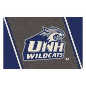   University Of New Hampshire 3 10 x 5 4 blue Area Rug: Home & Kitchen