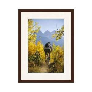  Cyclist Biking Through Trees Canmore Alberta Canada Framed 