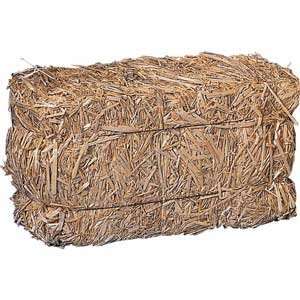  Straw Porch Bale: Toys & Games