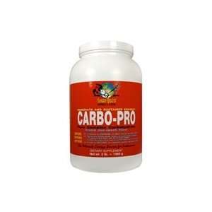  CARBO PRO Pure Complex Carbs (3.0 lbs) Health & Personal 