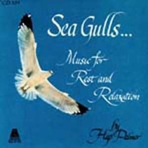  EDUCATIONAL ACTIVITIES SEA GULLS CD: Everything Else