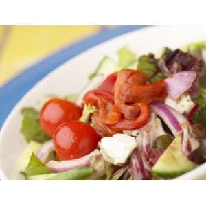  Healthy Garden Salad with Fresh Vegetables in Bowl 