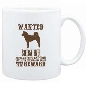   White  Wanted Shiba Inu   $1000 Cash Reward  Dogs: Sports & Outdoors