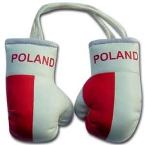 Poland Flag Mini Boxing Gloves: Sports & Outdoors