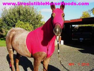 HOT PINK Horse Hood Slinky Sleezy Tail Bag * X SMALL  