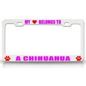MY HEART BELONGS TO A CHIHUAHUA Dog Pet Steel Metal Auto License Plate 