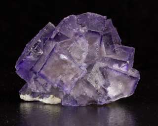 Sharp Cubic Purple Edged FLUORITE Gemmy Cubic Crystals  Elmwood 