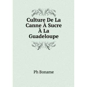  Culture De La Canne Ã? Sucre Ã? La Guadeloupe Ph Boname Books