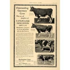  1924 Ad Rockingham Farm C. E. Tisdale Guernsey Cows 