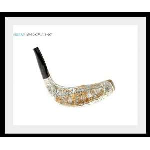  New Special New Silver Rams Horn Shofar 18 to 20 Plus 