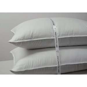   Queen 500 Thread Count Firm Goose Down Fill Pillows (Set Of 2 Pillows