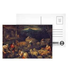  Farm Interior or Shearing Sheep (oil on canvas) by Jacopo 