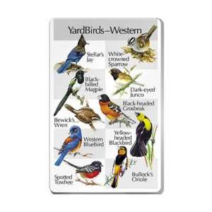  Western Yard Birds (Optics, Cameras, Bird Calls) 
