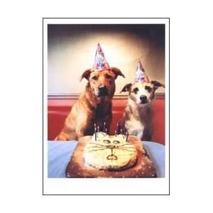  Dogs In Party Hats Birthday Card 