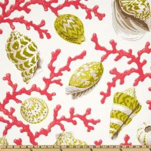   Seashell Branch Flamingo Fabric By The Yard Arts, Crafts & Sewing