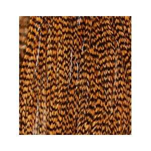  Light Orange Grizzly Feather Hair Extension: Beauty