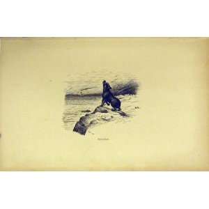  Antique Print View Dog Howling Cliffs Sea Sailing Boat 