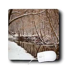  Amy Dyckovsky Roadside Collection   Frozen Creek and Trees 