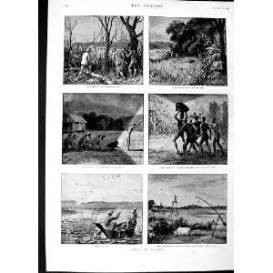   1890 Sport Burmah Jheel Shooting Deer Hunting Cattle