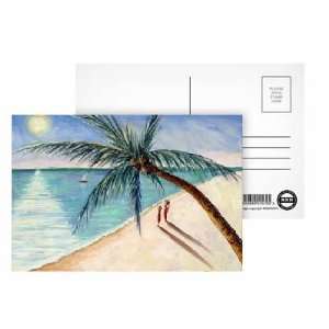 Rustling Palm, 2004 (oil on canvas) by Tilly Willis   Postcard (Pack 