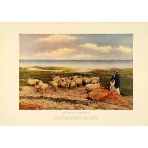 1913 Shepherdess Sheep Herd Dog Sheepdog Flock Print   Original Color 