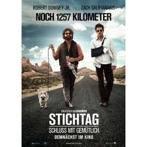  Due Date Poster Movie German D (11 x 17 Inches   28cm x 