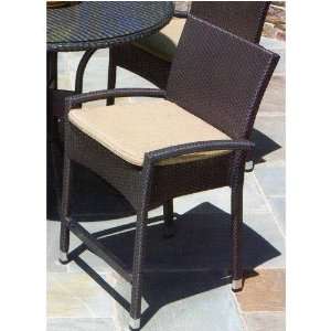  Vento High Wicker Dining Arm Chair With Cushion: Patio 