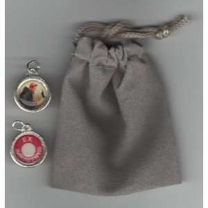 St Francis Relic Medal with Holy Card and Velour Bag Patron of Animals 