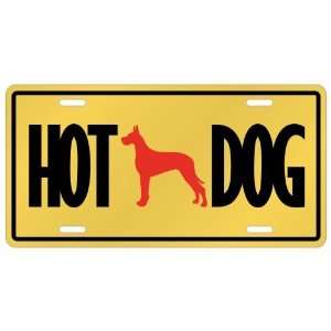  New  Great Dane   Hot Dog  License Plate Dog